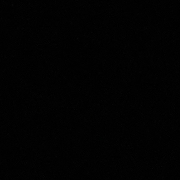 Meet your Posher, Daniel - Picture 1 of 1